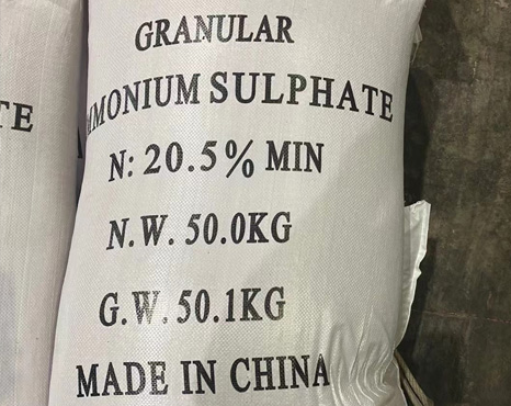 Granule Ammonium Sulphate