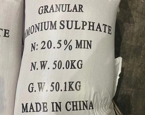 Granule Ammonium Sulphate
